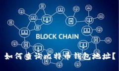 如何查询比特币钱包地址？