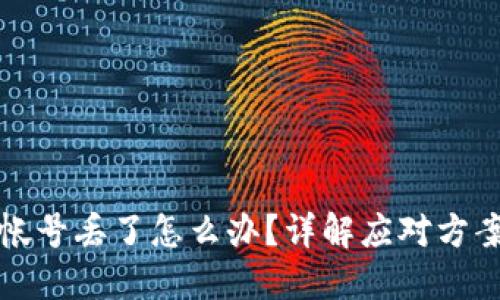 比特币钱包帐号丢了怎么办?详解应对方案与防丢建议