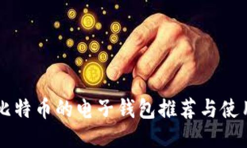 能装比特币的电子钱包推荐与使用指南