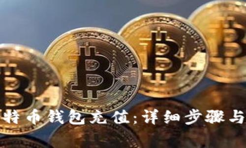 如何向比特币钱包充值:详细步骤与注意事项