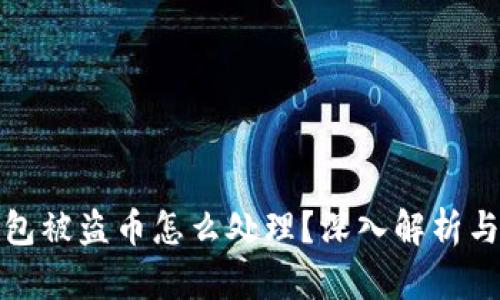 比特派钱包被盗币怎么处理?深入解析与有效措施