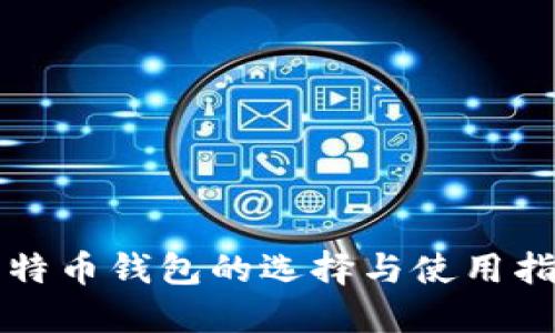 比特币钱包的选择与使用指南