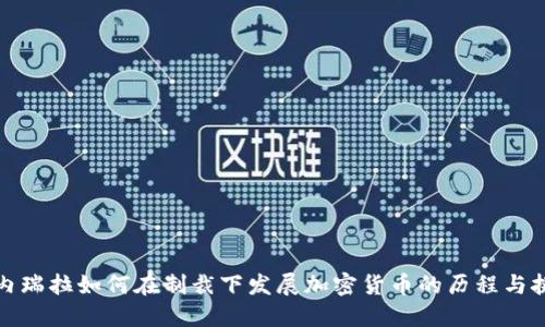 委内瑞拉如何在制裁下发展加密货币的历程与挑战