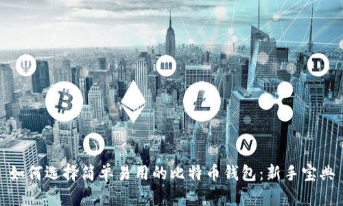 如何选择简单易用的比特币钱包:新手宝典
