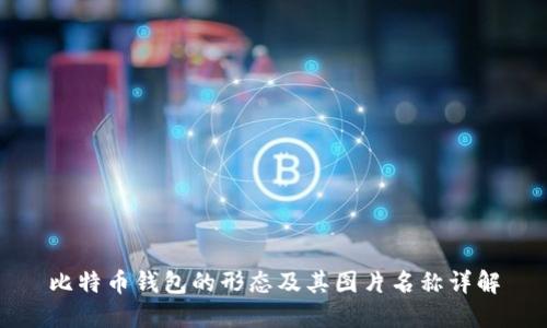 比特币钱包的形态及其图片名称详解