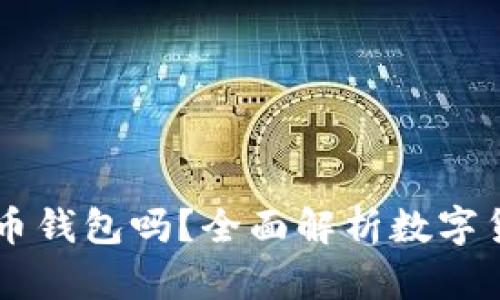 货币账号是比特币钱包吗?全面解析数字货币的概念与应用