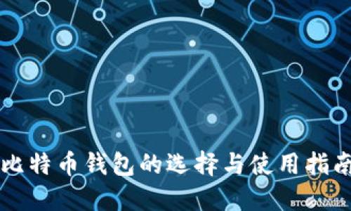 比特币钱包的选择与使用指南