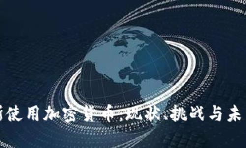 俄罗斯使用加密货币：现状、挑战与未来展望