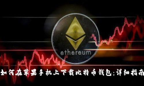 如何在苹果手机上下载比特币钱包:详细指南
