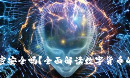 货币加密安全吗?全面解读数字货币的安全性