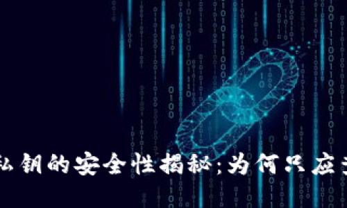 比特币钱包私钥的安全性揭秘:为何只应查看而非分享