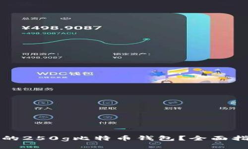 如何选择适合的250g比特币钱包?全面指南与实用技巧