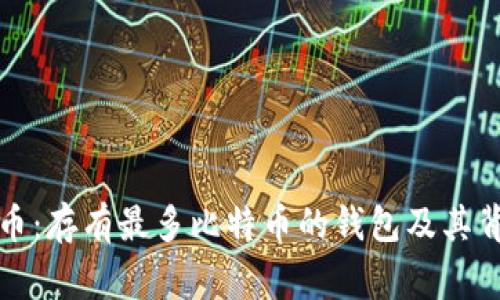 揭秘比特币:存有最多比特币的钱包及其背后的故事