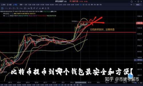 比特币提币到哪个钱包最安全和方便?
