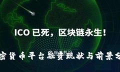 加密货币平台融资现状与前景分析