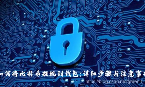 如何将比特币提现到钱包:详细步骤与注意事项