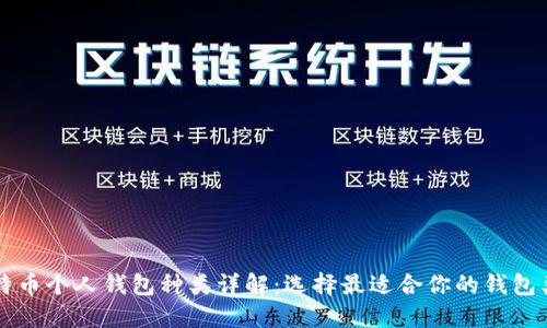 比特币个人钱包种类详解:选择最适合你的钱包类型
