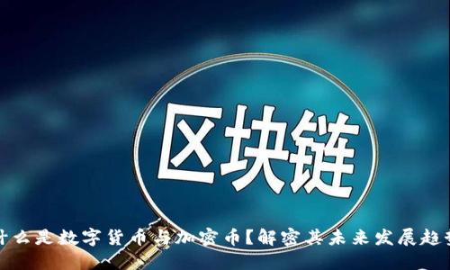 什么是数字货币与加密币？解密其未来发展趋势