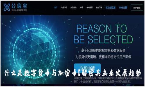 什么是数字货币与加密币？解密其未来发展趋势
