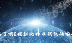 比特币钱包会丢了吗？揭秘比特币钱包的安全性