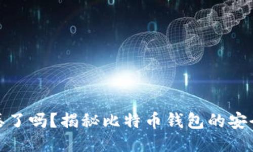 比特币钱包会丢了吗?揭秘比特币钱包的安全性与保护措施