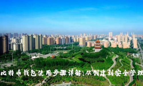 比特币钱包使用步骤详解：从创建到安全管理