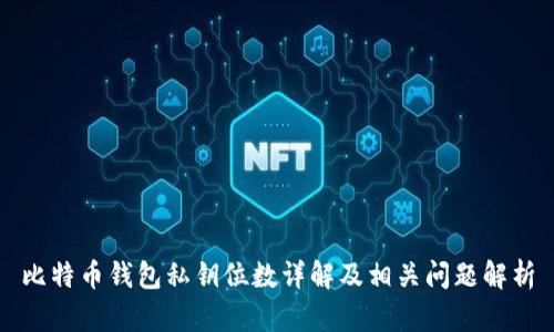 比特币钱包私钥位数详解及相关问题解析