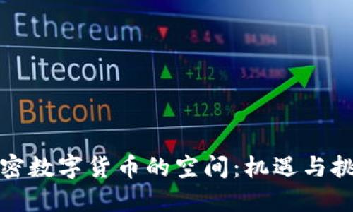 加密数字货币的空间：机遇与挑战