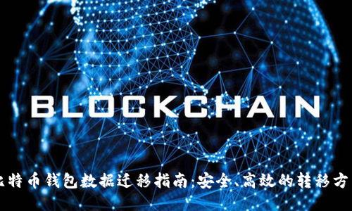 比特币钱包数据迁移指南:安全、高效的转移方式