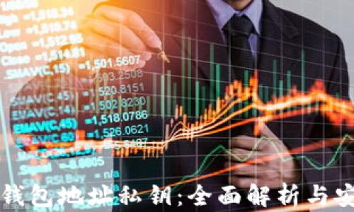 比特币钱包地址私钥:全面解析与安全防护