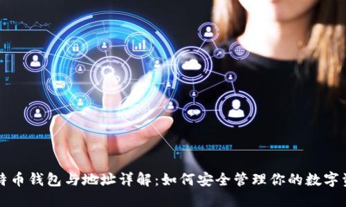 比特币钱包与地址详解:如何安全管理你的数字资产