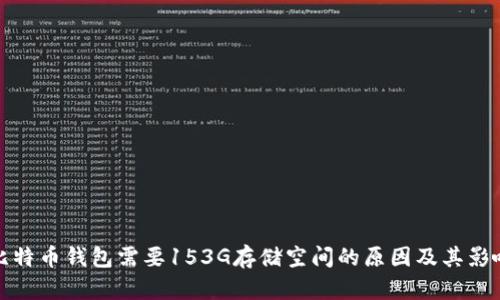 比特币钱包需要153G存储空间的原因及其影响
