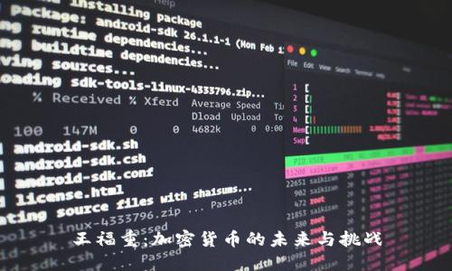 王福重:加密货币的未来与挑战