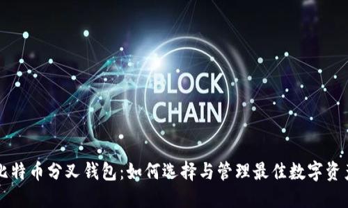 比特币分叉钱包:如何选择与管理最佳数字资产