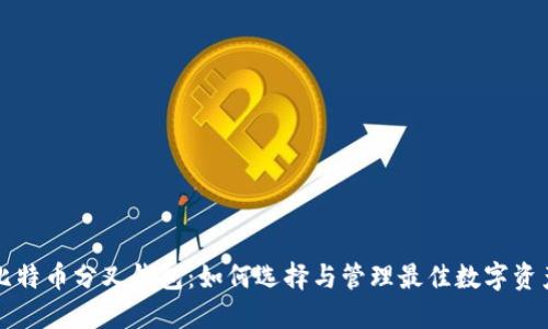 比特币分叉钱包:如何选择与管理最佳数字资产