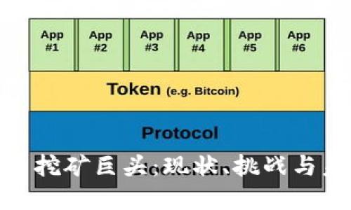 加密货币挖矿巨头:现状、挑战与未来趋势