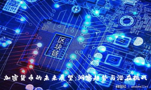 加密货币的未来展望:洞察趋势与潜在挑战