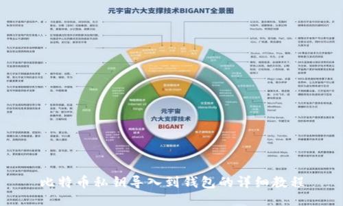 比特币私钥导入到钱包的详细教程