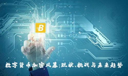 数字货币加密风暴：现状、挑战与未来趋势