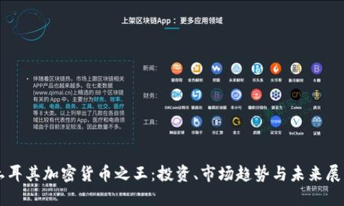 土耳其加密货币之王:投资、市场趋势与未来展望