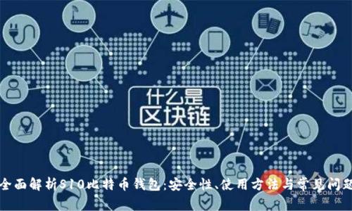 全面解析S10比特币钱包:安全性、使用方法与常见问题