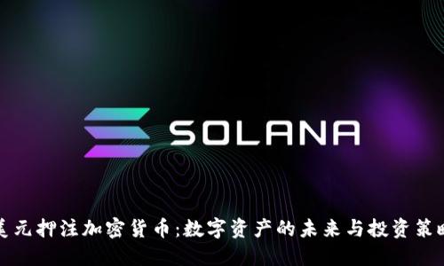 美元押注加密货币:数字资产的未来与投资策略