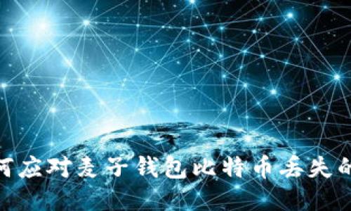 : 如何应对麦子钱包比特币丢失的困扰