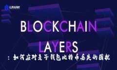 : 如何应对麦子钱包比特币丢失的困扰