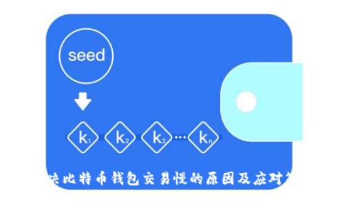 解决比特币钱包交易慢的原因及应对策略