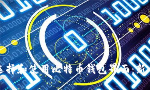 如何选择和使用比特币钱包界面:新手指南
