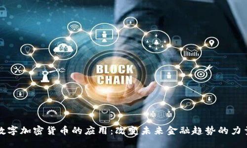 数字加密货币的应用:改变未来金融趋势的力量