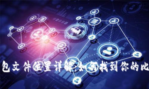 比特币钱包文件位置详解：如何找到你的比特币钱包