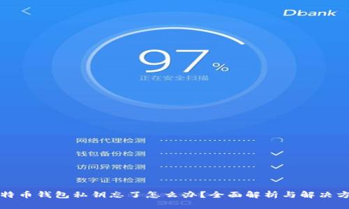 比特币钱包私钥忘了怎么办？全面解析与解决方案