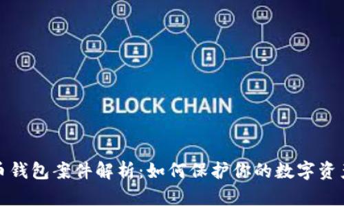 比特币钱包案件解析:如何保护你的数字资产安全